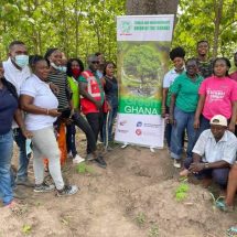 TWU OF TUC PLANTS TREES TO GREEN THE ENVIRONMENT